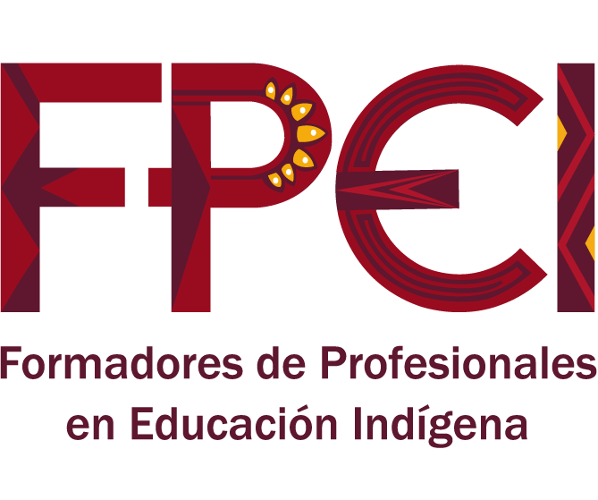 Seminario Docencia universitaria y formación de profesionales indígenas (FPEI)