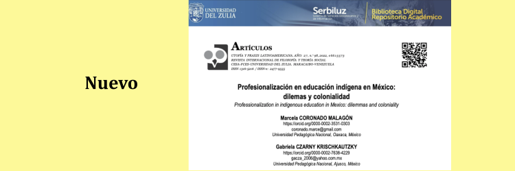 Profesionalización en educación indígena en México: dilemas y colonialidad