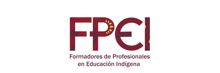 Proyecto Formadores de Profesionales en Educación Indígena